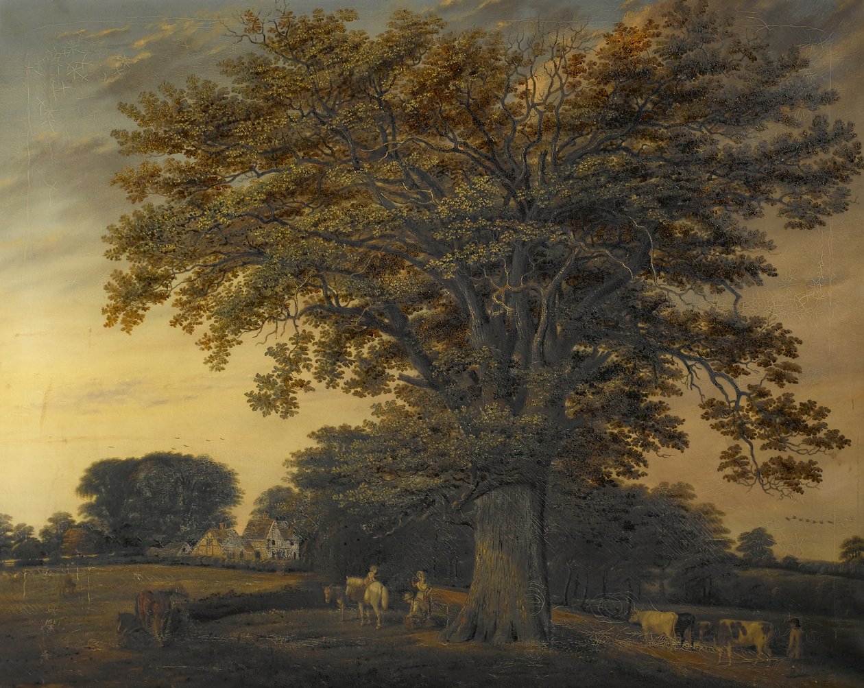 A Binley-tölgy, 1848 alkotó: Edwin Brown