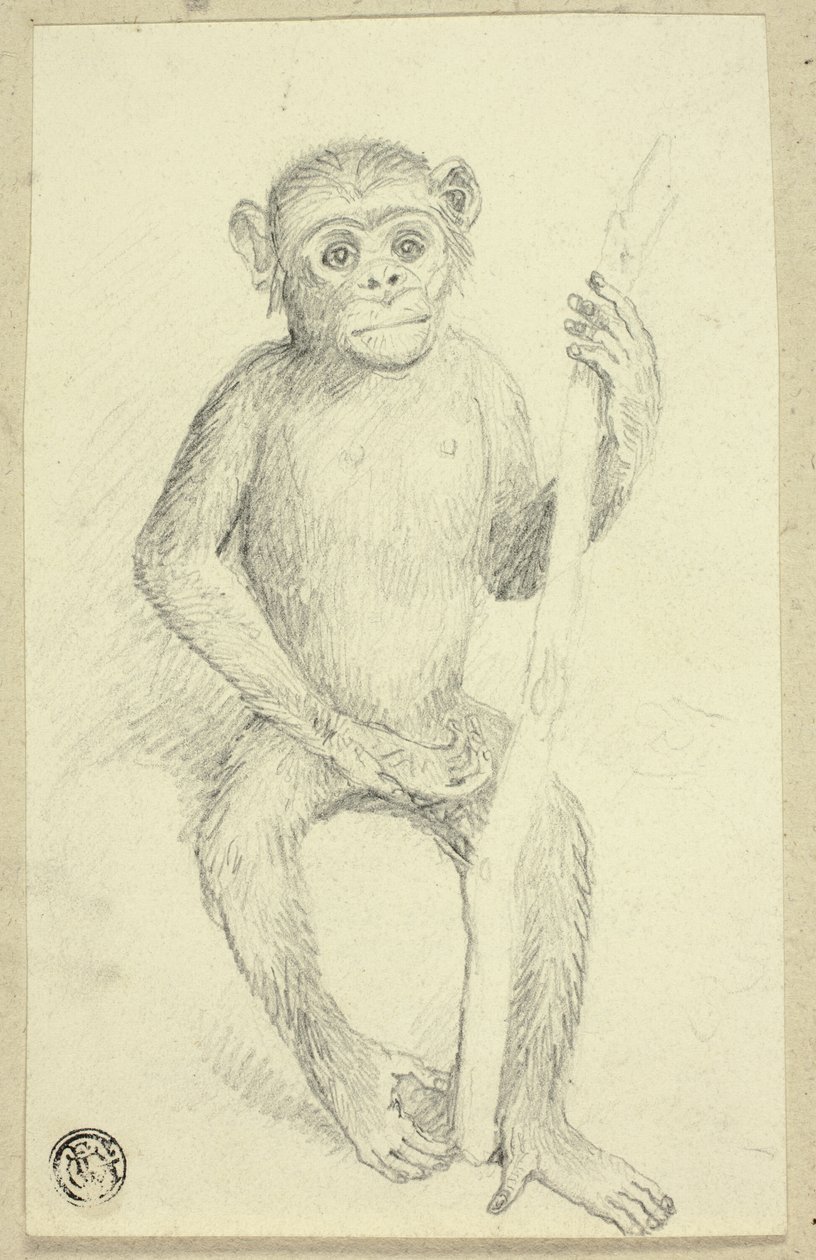 Orangután alkotó: Edwin Henry Landseer