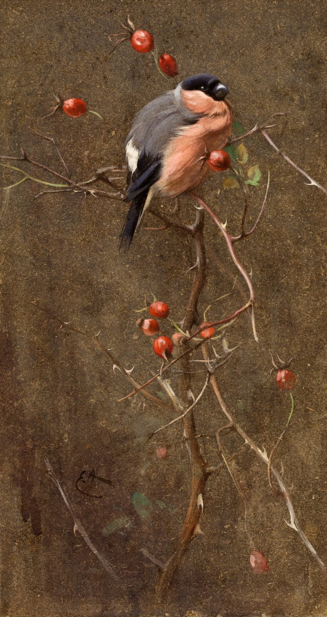 A Süvöltő alkotó: Edwin John Alexander