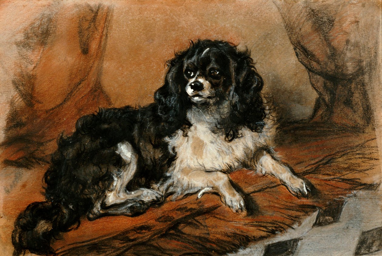 Károly király spániel alkotó: Edwin Landseer