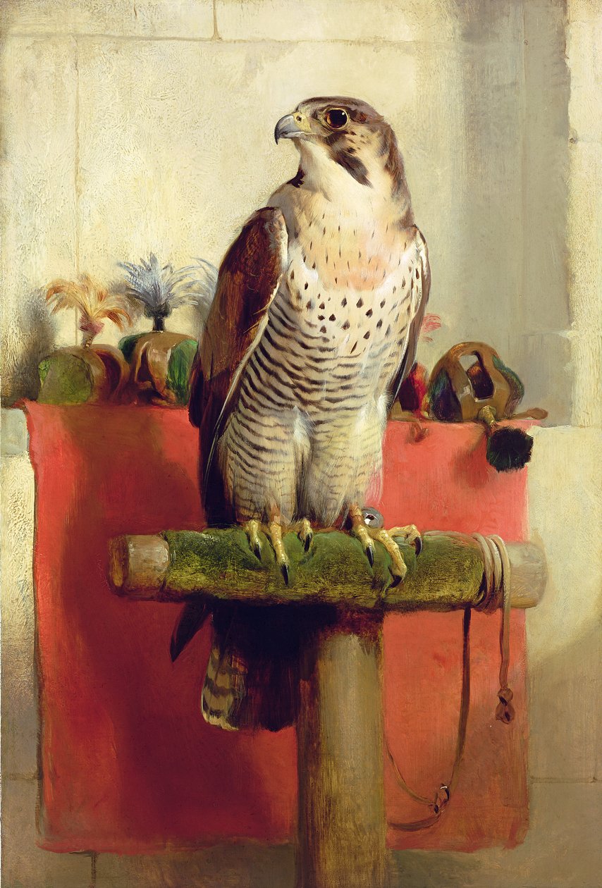 Sólyom, 1837 alkotó: Edwin Landseer