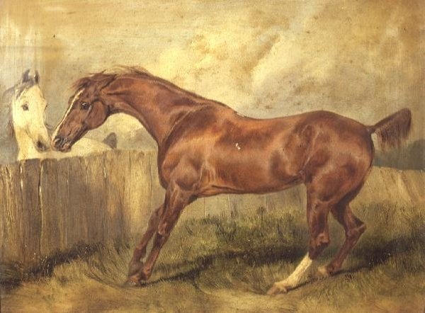 Marianne, a kedvenc vadász alkotó: Edwin Landseer
