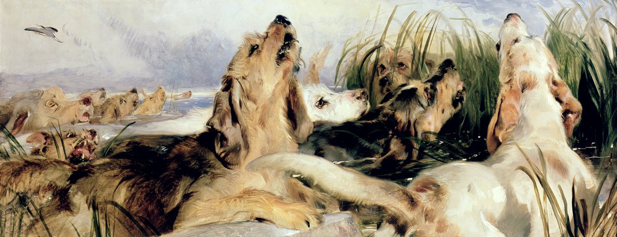 Vidra kopók alkotó: Edwin Landseer