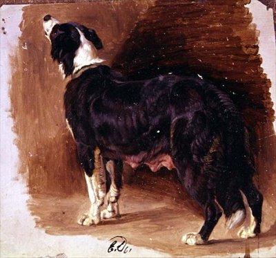 Vázlat egy collie-ról alkotó: Edwin Landseer
