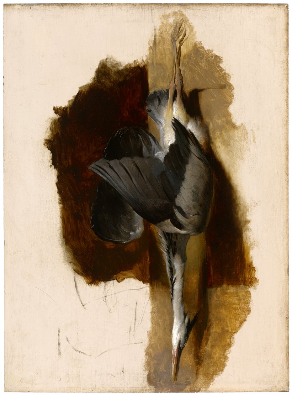 Tanulmány egy döglött gémről, 1832-33 körül alkotó: Edwin Landseer