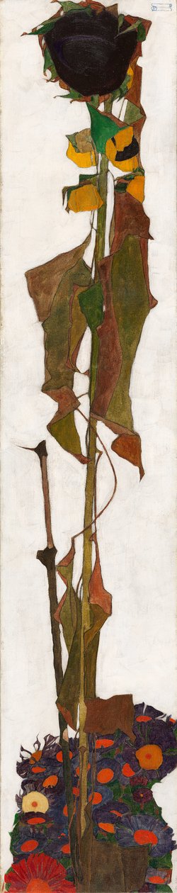 Napraforgó, 1909-1910. alkotó: Egon Schiele