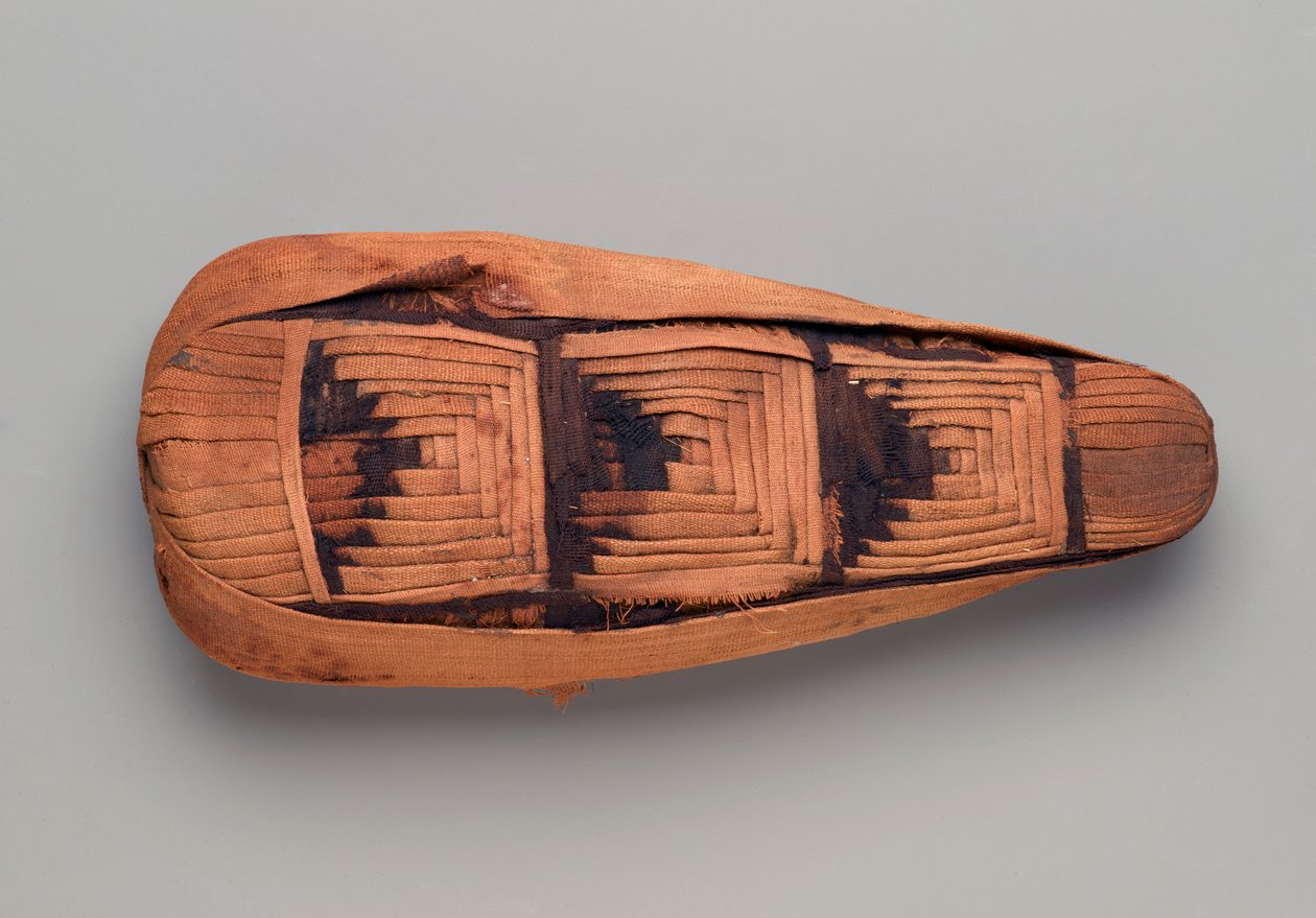 Egy íbisz múmiája (állati maradványok, ágynemű és festék) alkotó: Egyptian