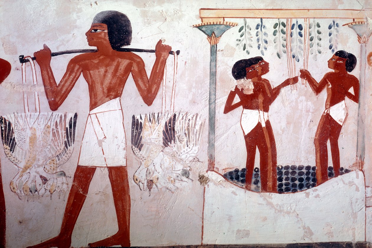 Ismeretlen kép alkotó: Egyptian 18th Dynasty