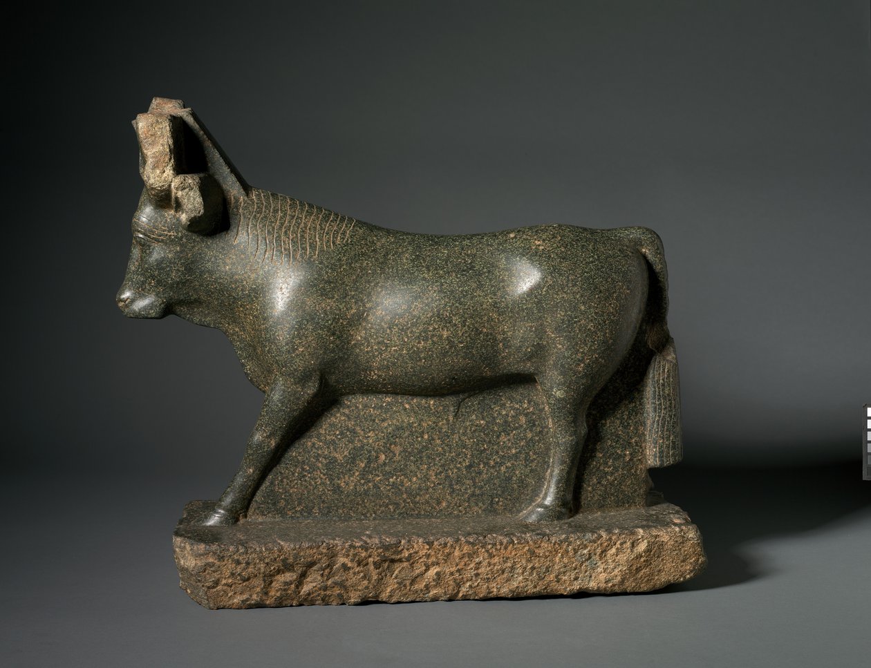 Apis bika, ie 400-100 (szerpentinit) alkotó: Egyptian Ptolemaic Period