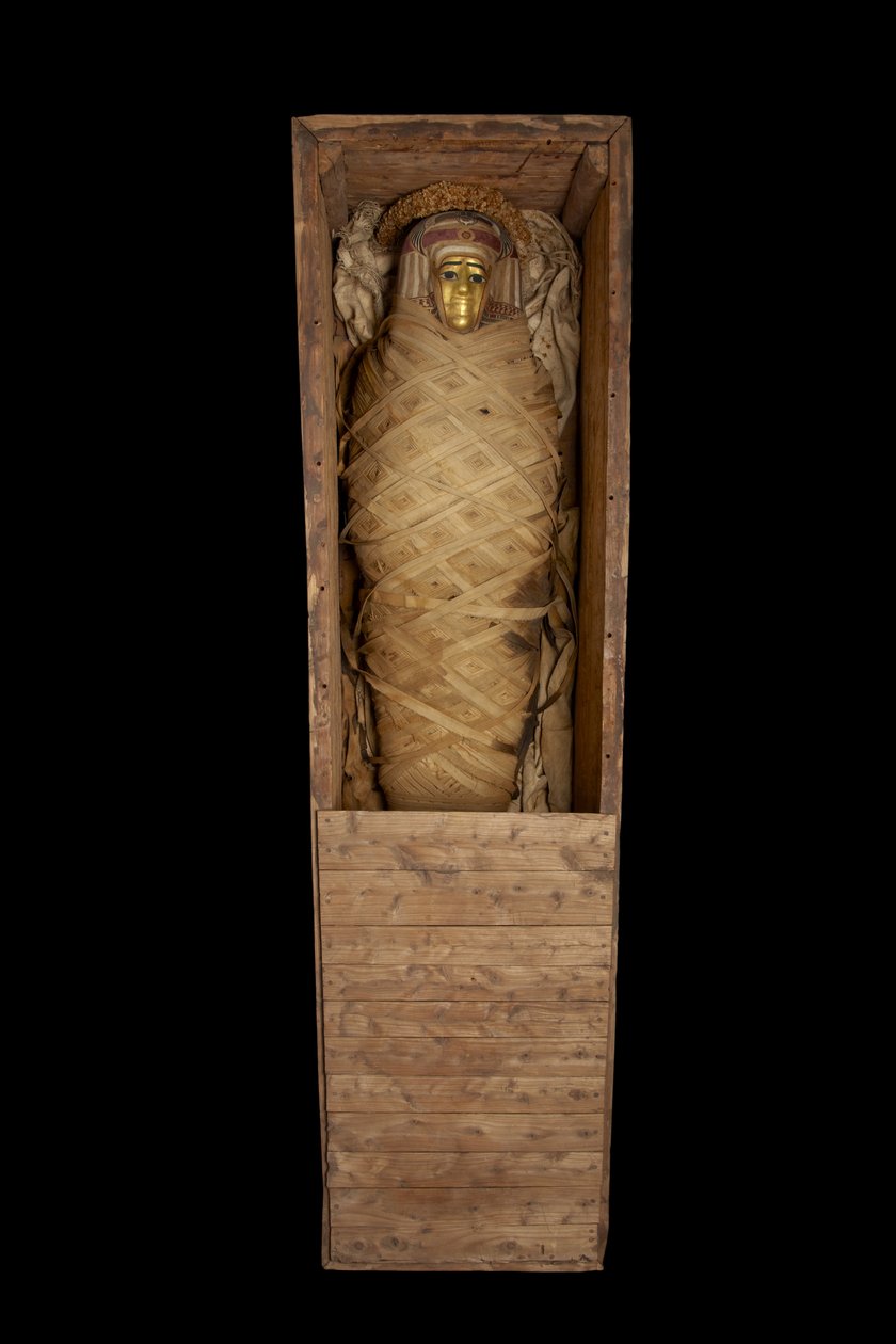 Múmia koporsóban, Hawarából alkotó: Egyptian Ptolemaic Period