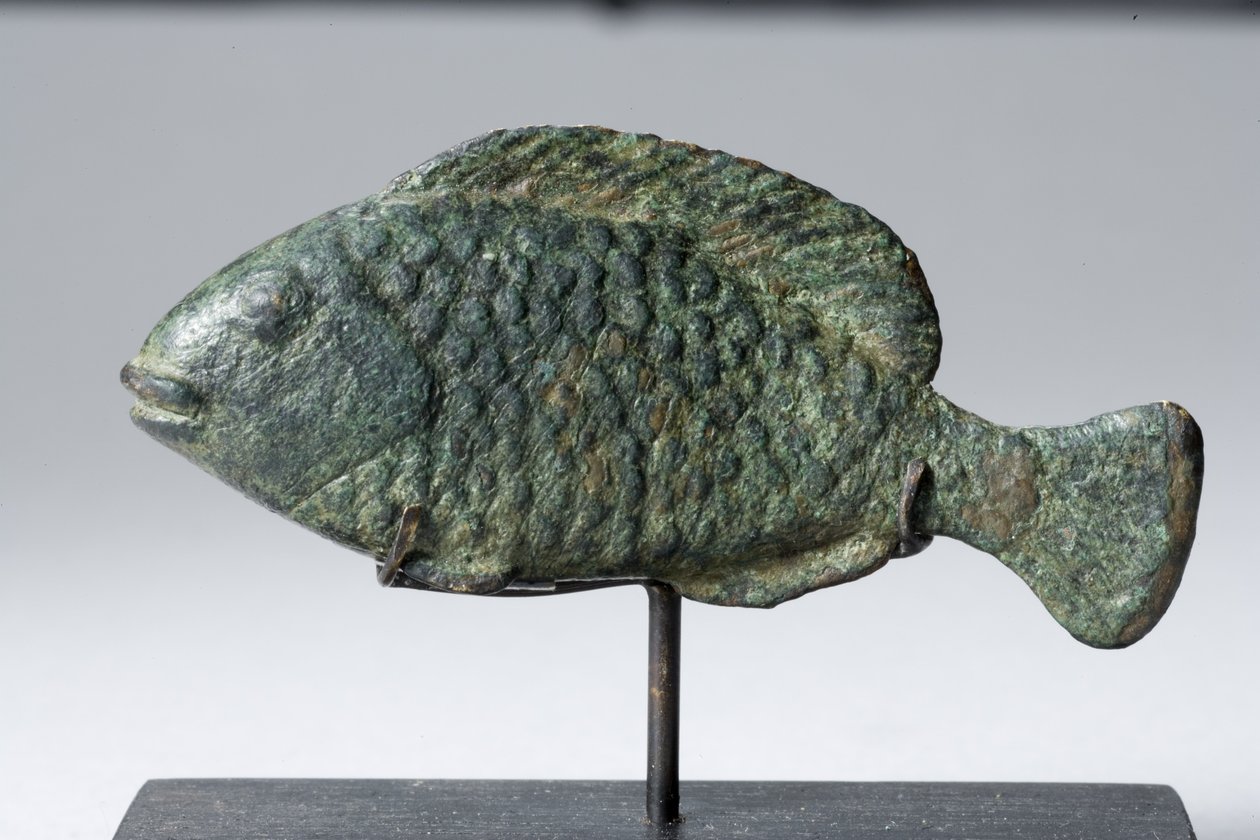 tilápia hal (bronz) alkotó: Egyptian Ptolemaic Period