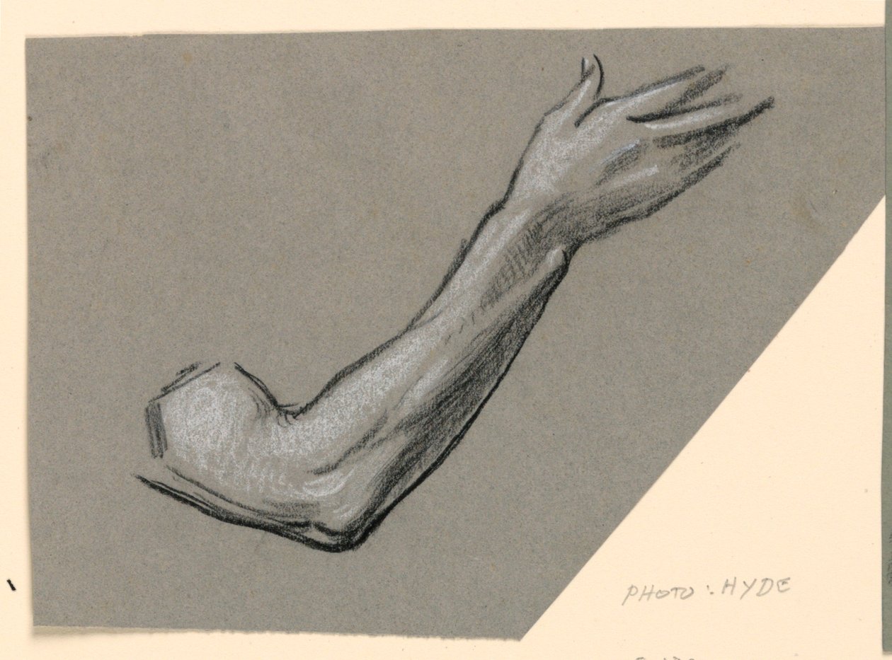 A kar tanulmányozása alkotó: Elihu Vedder