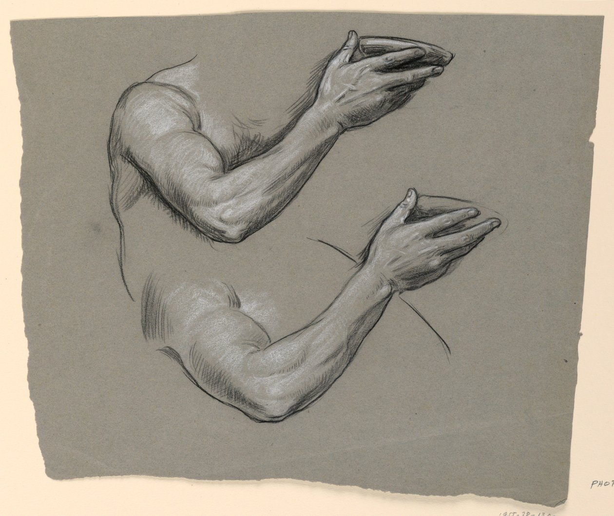 A kar tanulmányozása alkotó: Elihu Vedder