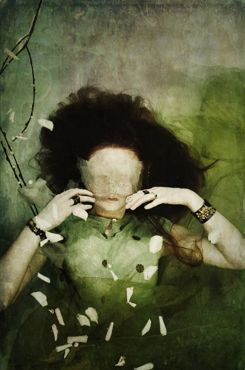 Hiding the thru you, 2013 (szitanyomat) alkotó: Elinleticia Högabo