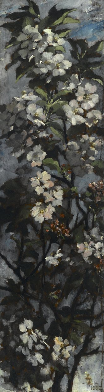 Alma virágzik alkotó: Elizabeth Boott Duveneck