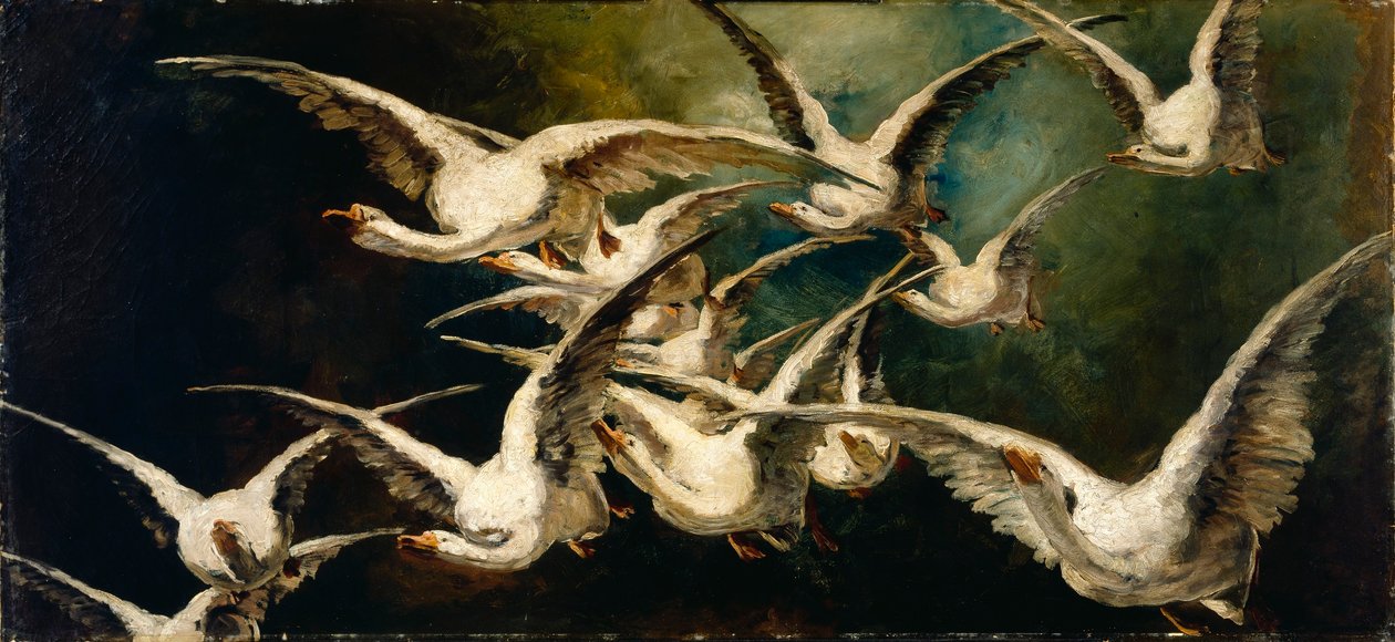 Lúdraj alkotó: Elizabeth Nourse