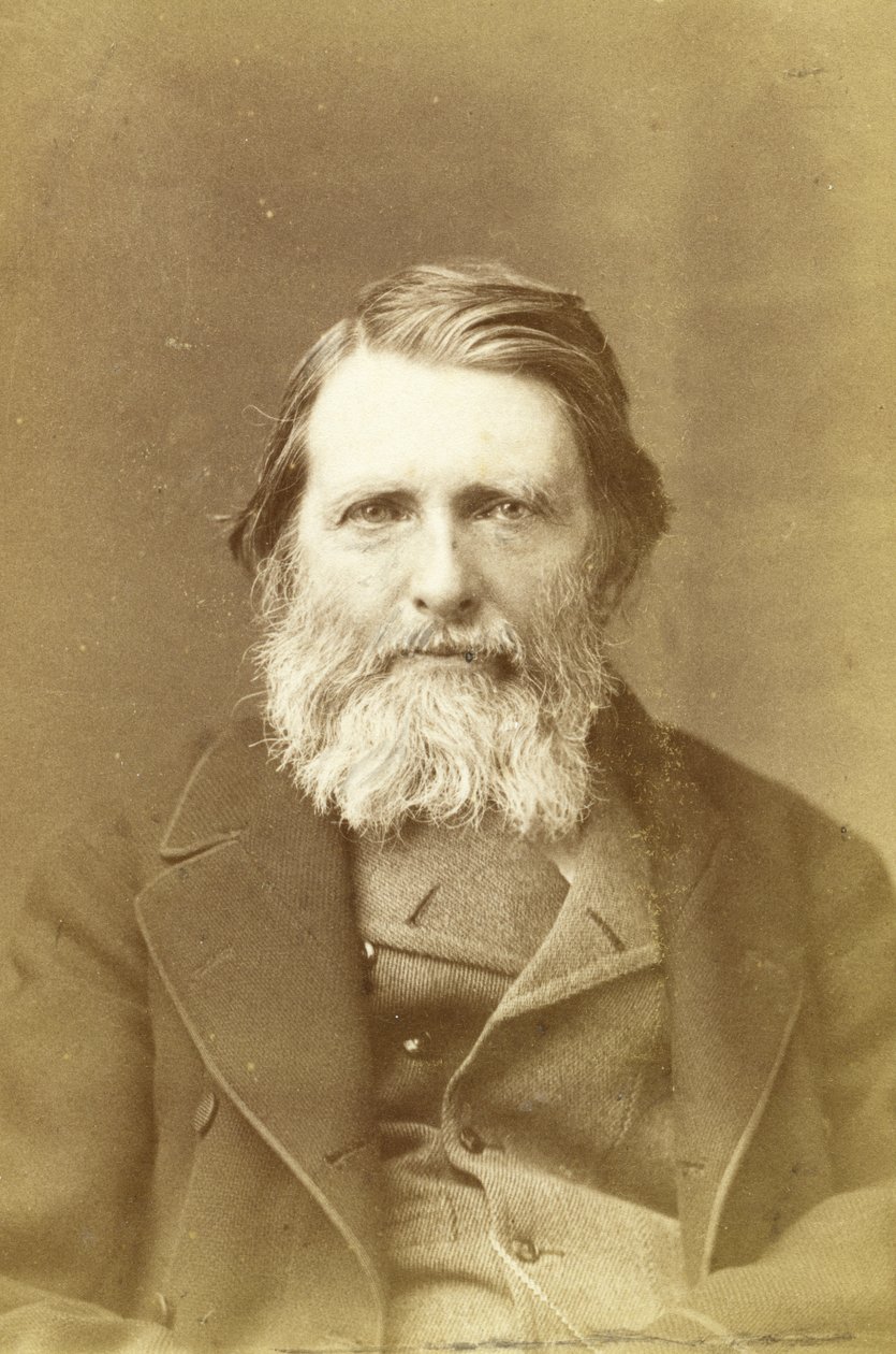 John Ruskin, 1882 (albumnyomat) alkotó: Elliott und Fry Studio