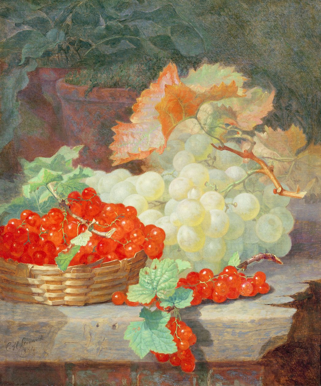 Ribizli és szőlő, 1864 alkotó: Eloise Harriet Stannard