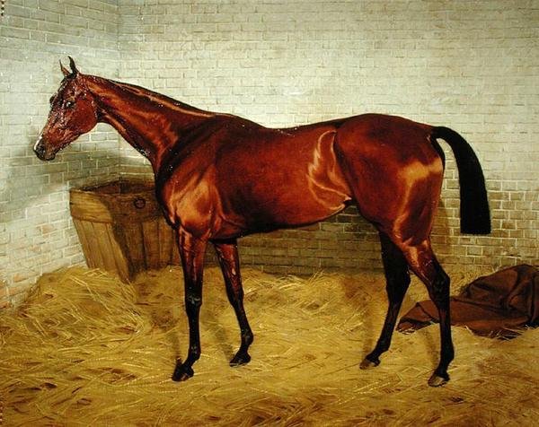 „Lonely”, az 1885-ös Derby győztese alkotó: Emil Adam