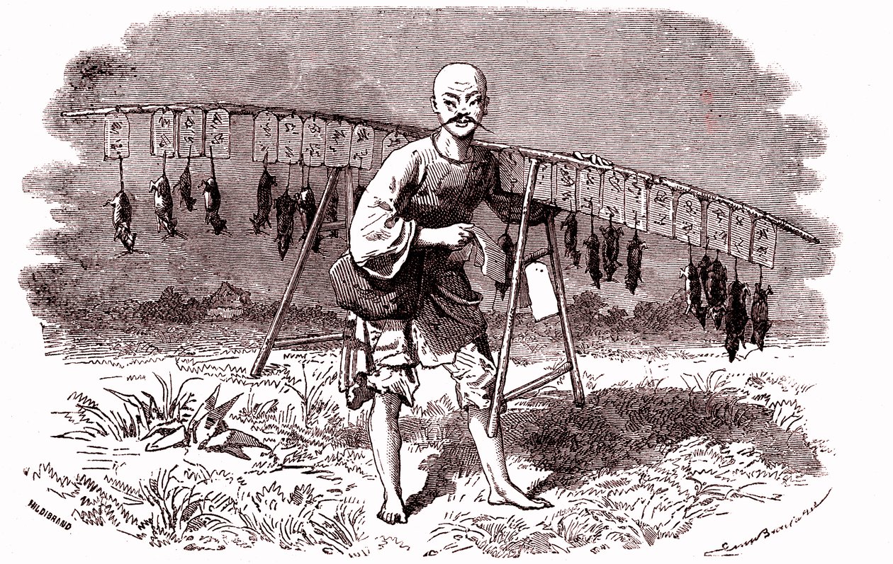 Patkánygyilkos Kínában. 1874 (metszet) alkotó: Emile Antoine Bayard