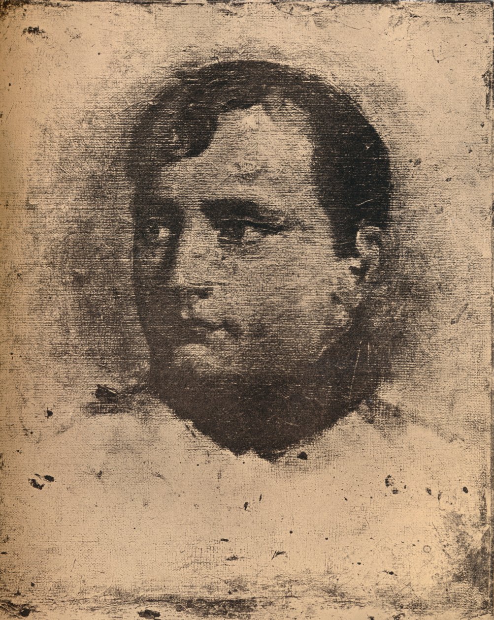 Napóleon, XIX. század. alkotó: Emile Jean Horace Vernet
