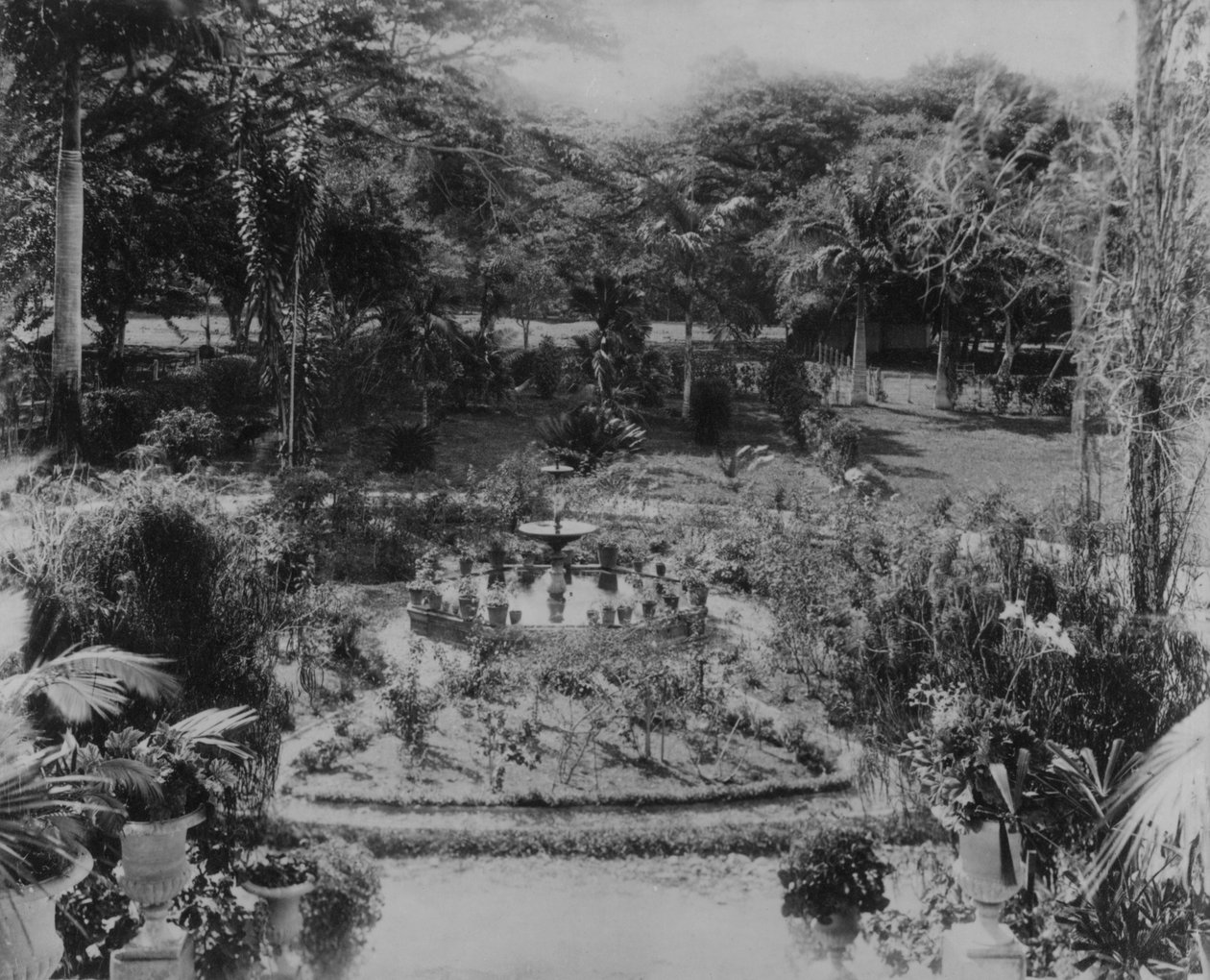 Egy külvárosi villa kertje, Spanyolország kikötője, Trinidad alkotó: English Photographer