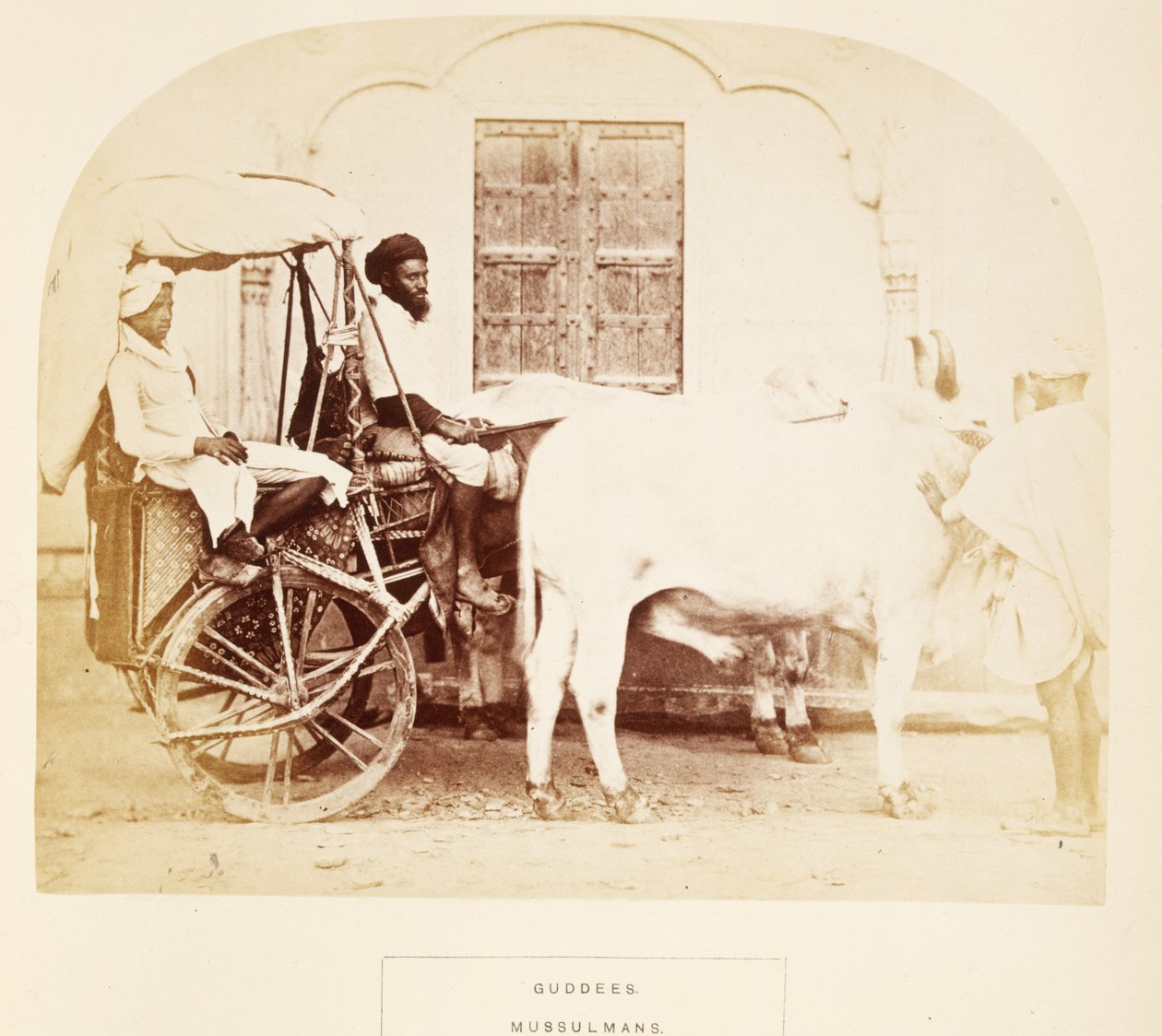Guddees, Mussulmans, Rajpootana, The People of India, J. Forbes Watson, megjelent 1868 (albumnyomat) alkotó: English Photographer
