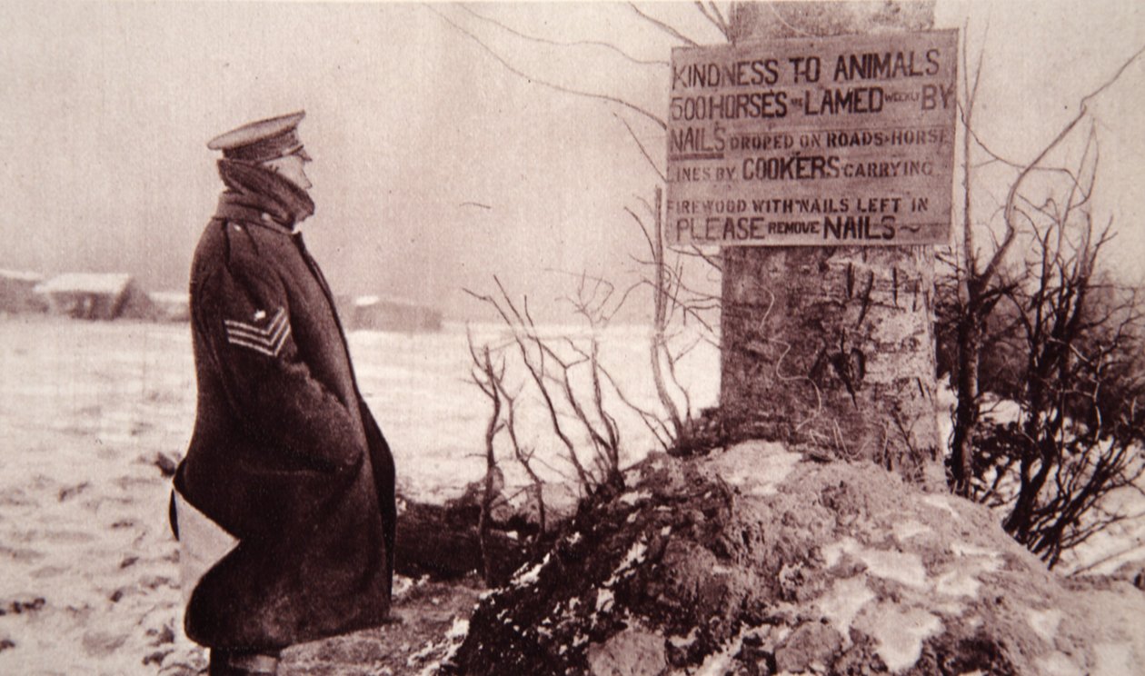 Kindness to Animals, illusztráció a The Illustrated War Newsból, 1917. február 7. (szépia fotó) alkotó: English Photographer