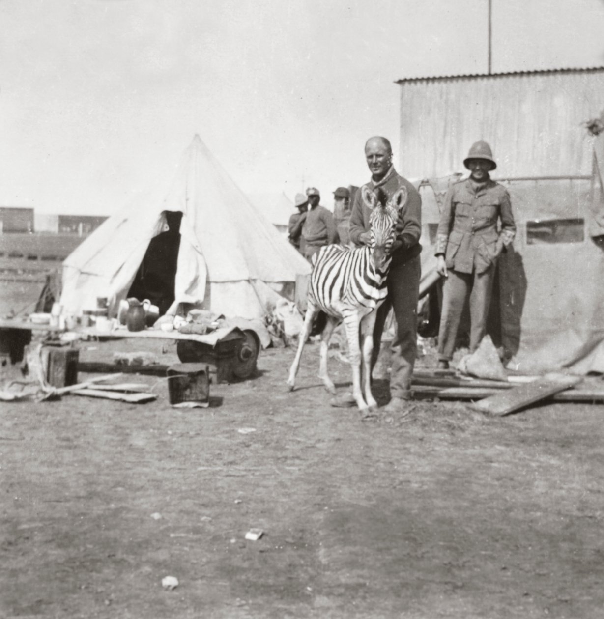 Dél-afrikai tüzérek kedvenc zebrájukkal Kelet-Afrikában alkotó: English Photographer