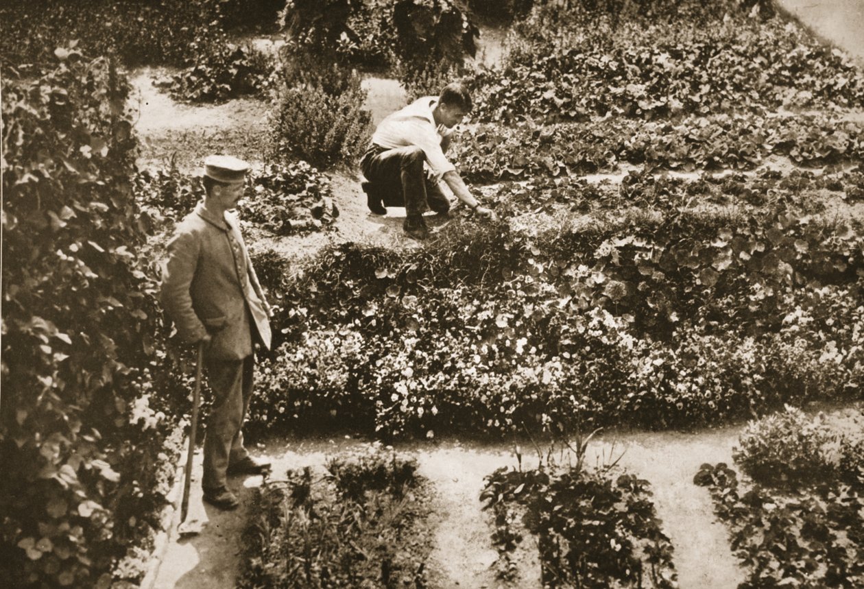 The Prisoners Gardens, Dorchester, illusztráció: Német rabok Nagy-Britanniában (fotónyomat) alkotó: English Photographer