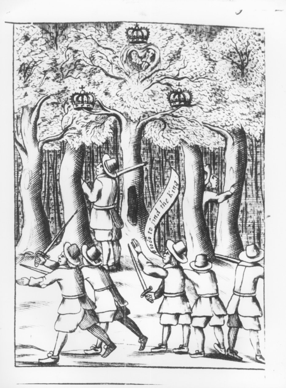Károly király (1630-85) egy tölgyfában bujkált Boscobelnél az 1651-es worcesteri csatában elszenvedett veresége után, 1660 alkotó: English School