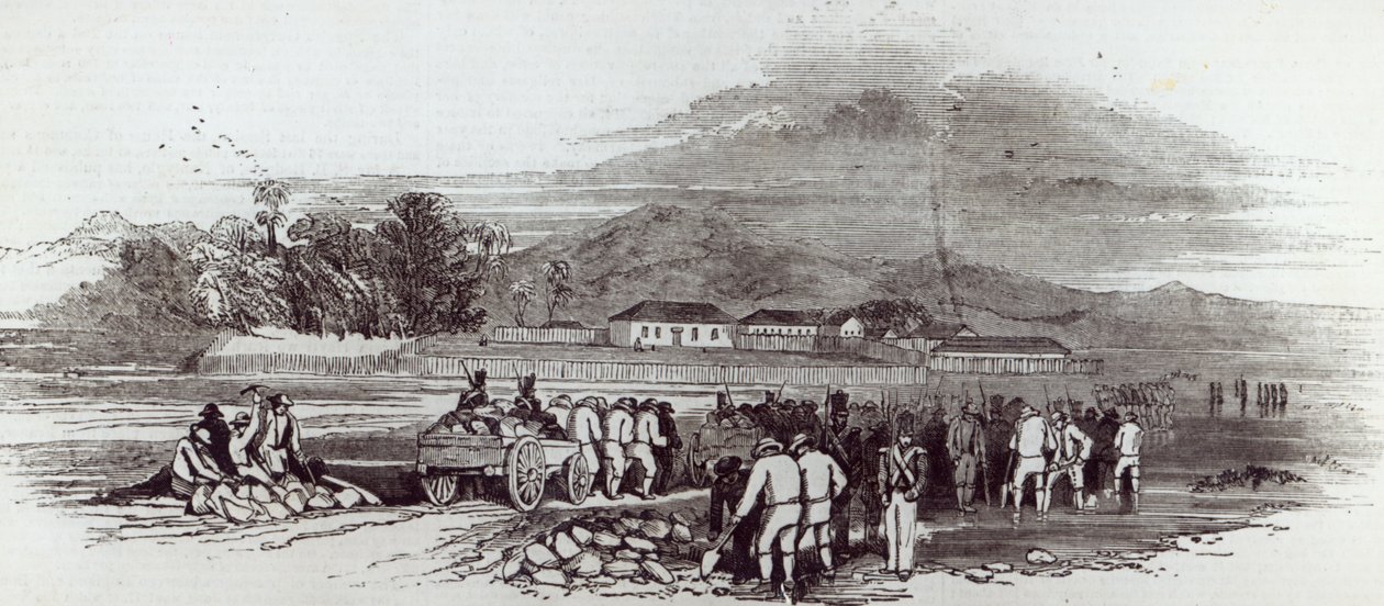 Norfolk Island, a „The Illustrated London News”-ból, 1847. június 12. alkotó: English School