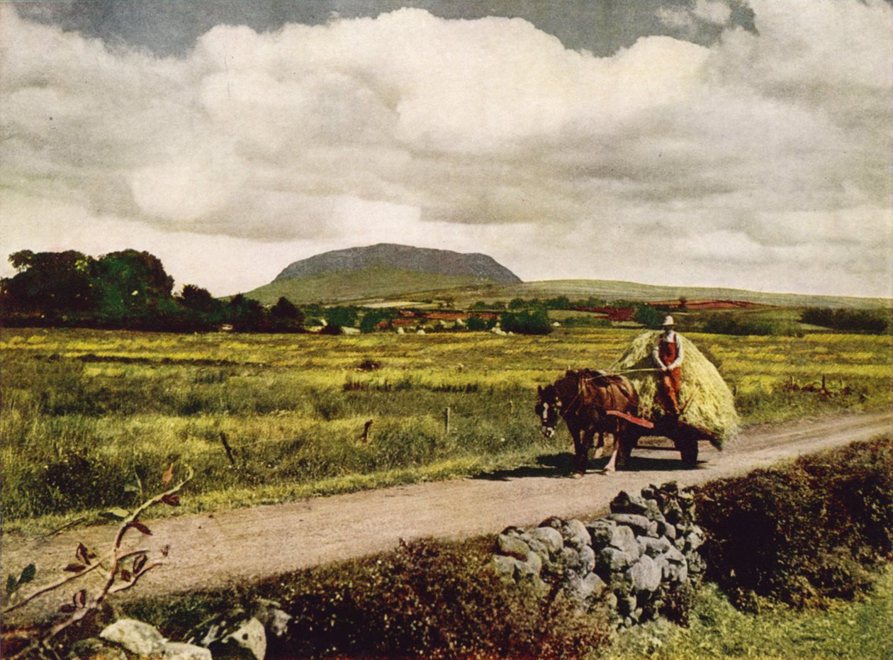 Slemish, Antrim megye (színes fénykép) alkotó: English Photographer
