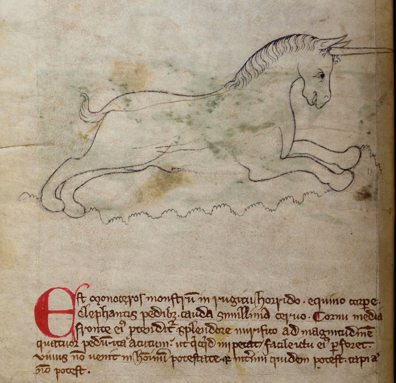 CCA-LitMs/D/10 fol. 2v Monoceros, a Bestiary-től alkotó: English School