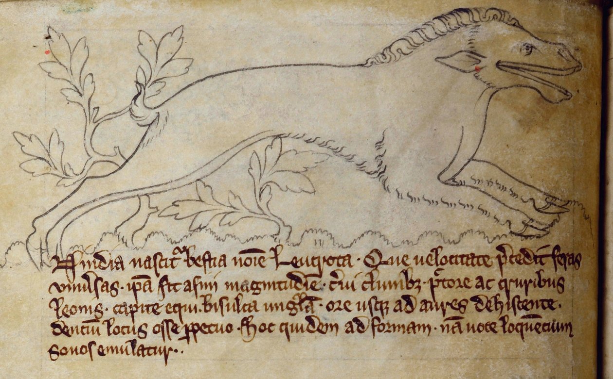 CCA-LitMs/D/10 fol. 3v Leucrota, a Bestiary-től alkotó: English School