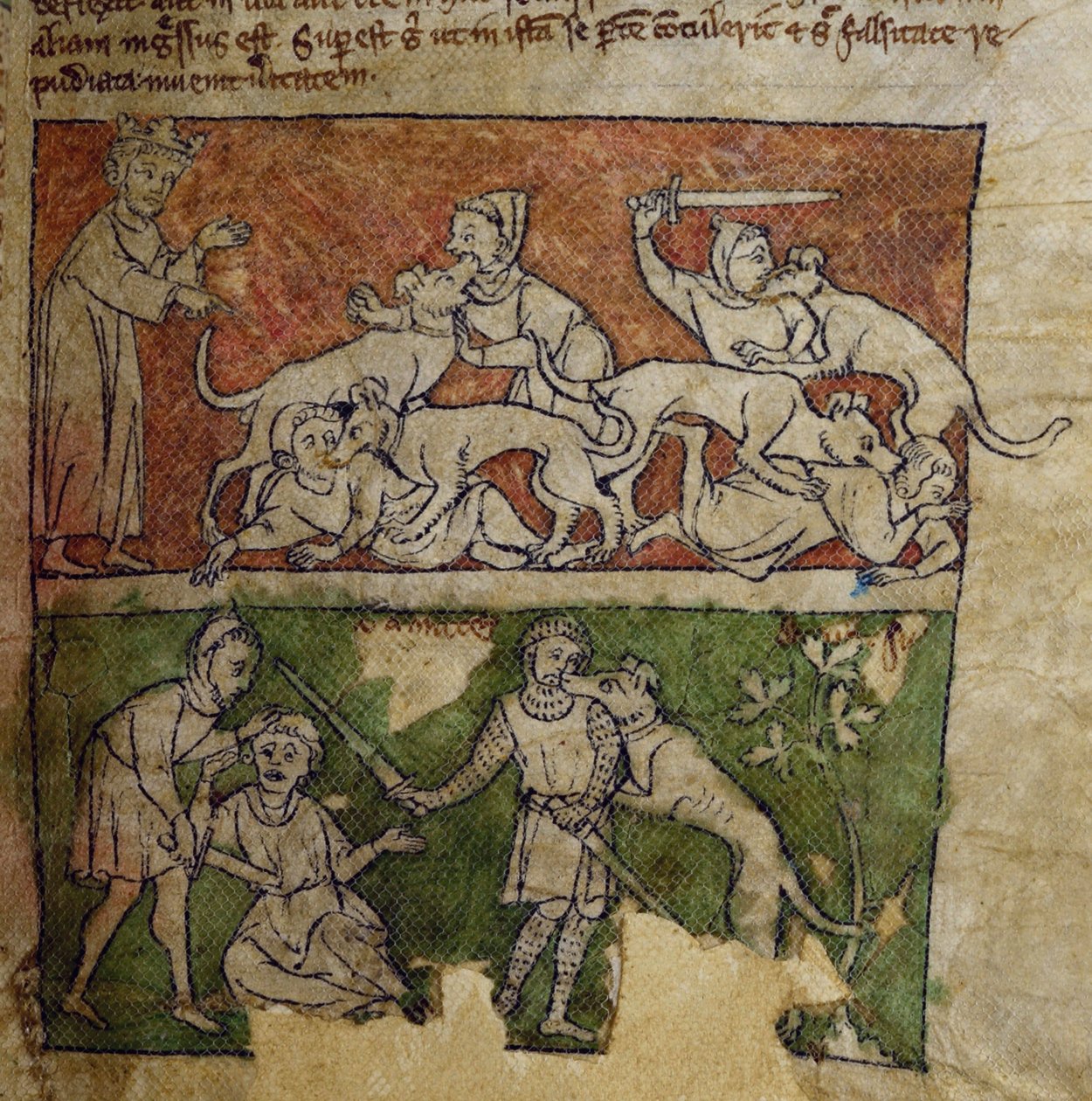 CCA-LitMs/D/10 fol. 6r Kutya, Bestiáriumból alkotó: English School