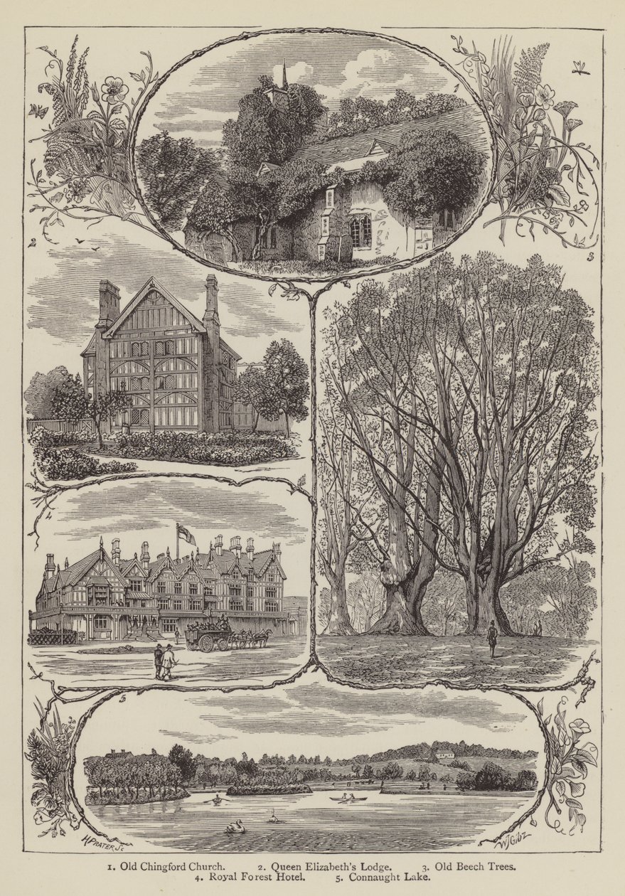 Chingford (metszet) alkotó: English School
