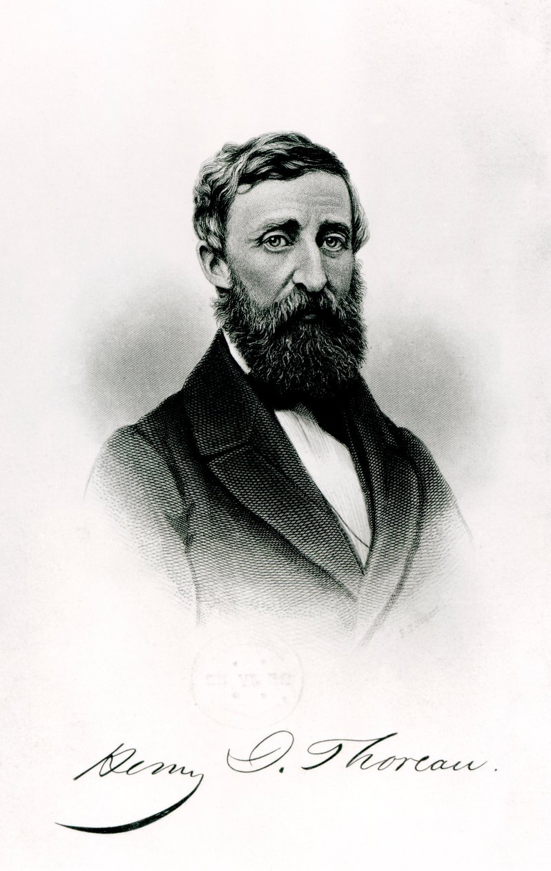 Henry David Thoreau (1817-62) alkotó: English School