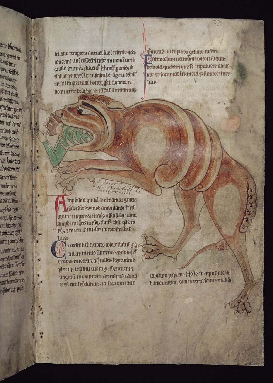 Ms.254 f.24 r Cocodrillus nyel egy embert alkotó: English School