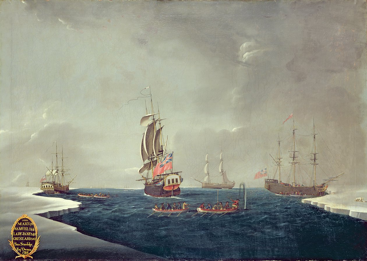 Sir Samuel Standidge bálnavadász flottája alkotó: English School