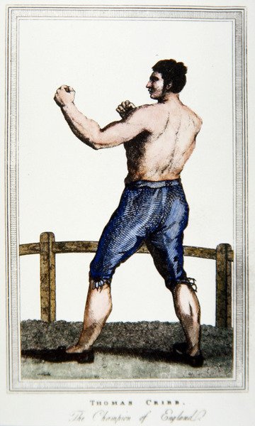 Tom Cribb (színes litó) alkotó: English School