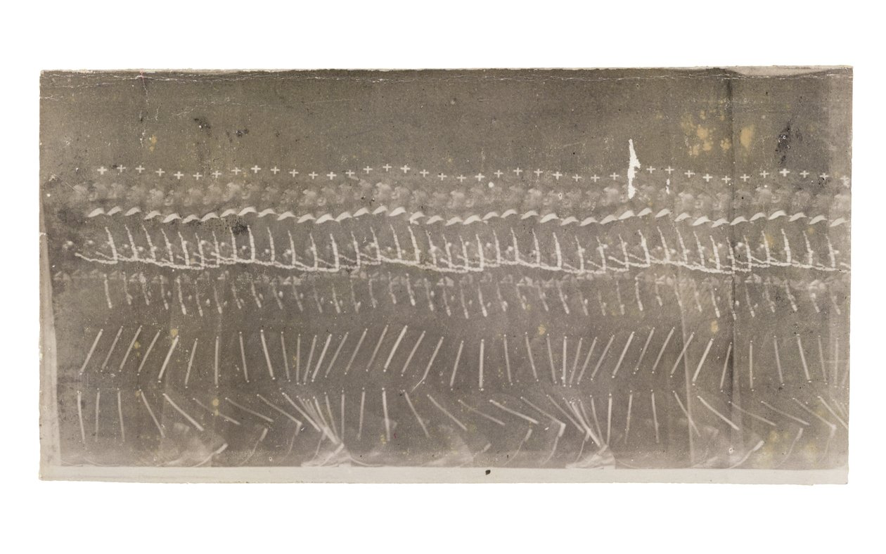 Sétáló ember, 1882 alkotó: Etienne Jules Marey
