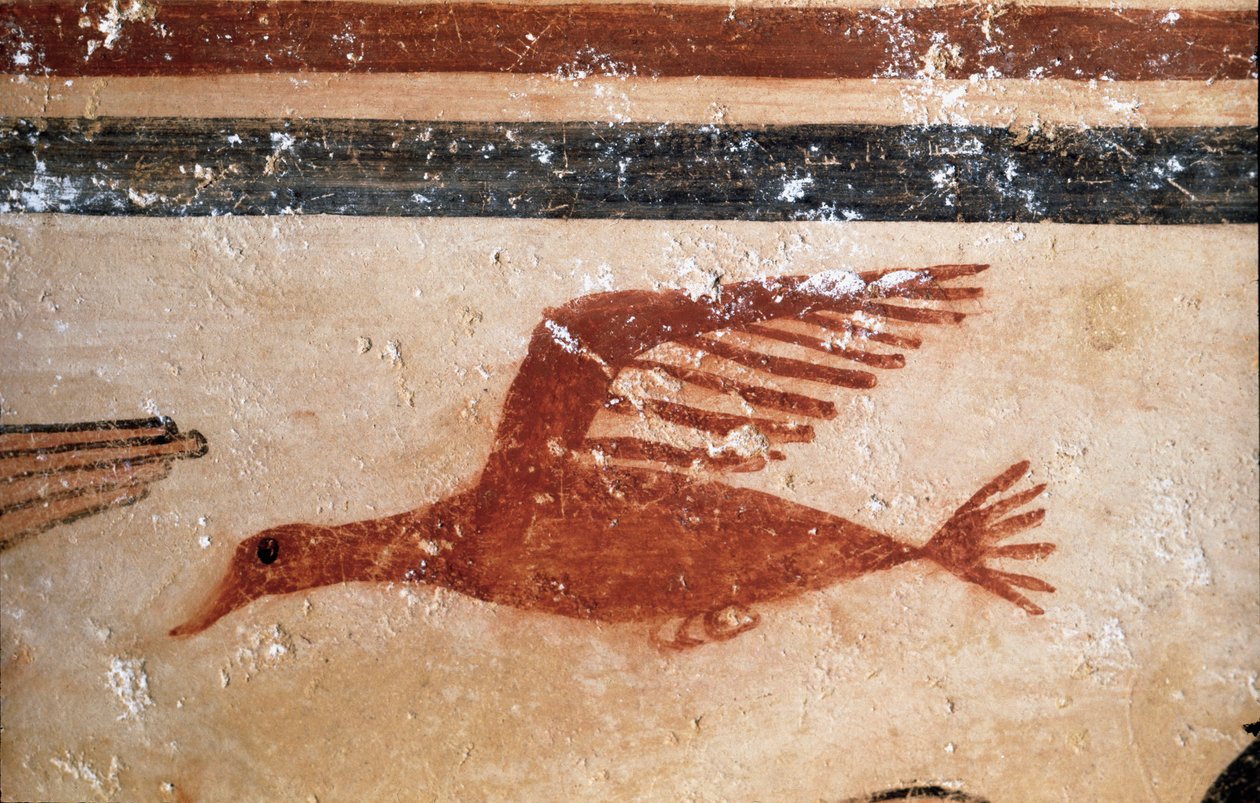 Egy madár. (A freskó részlete, ie 530) alkotó: Etruscan