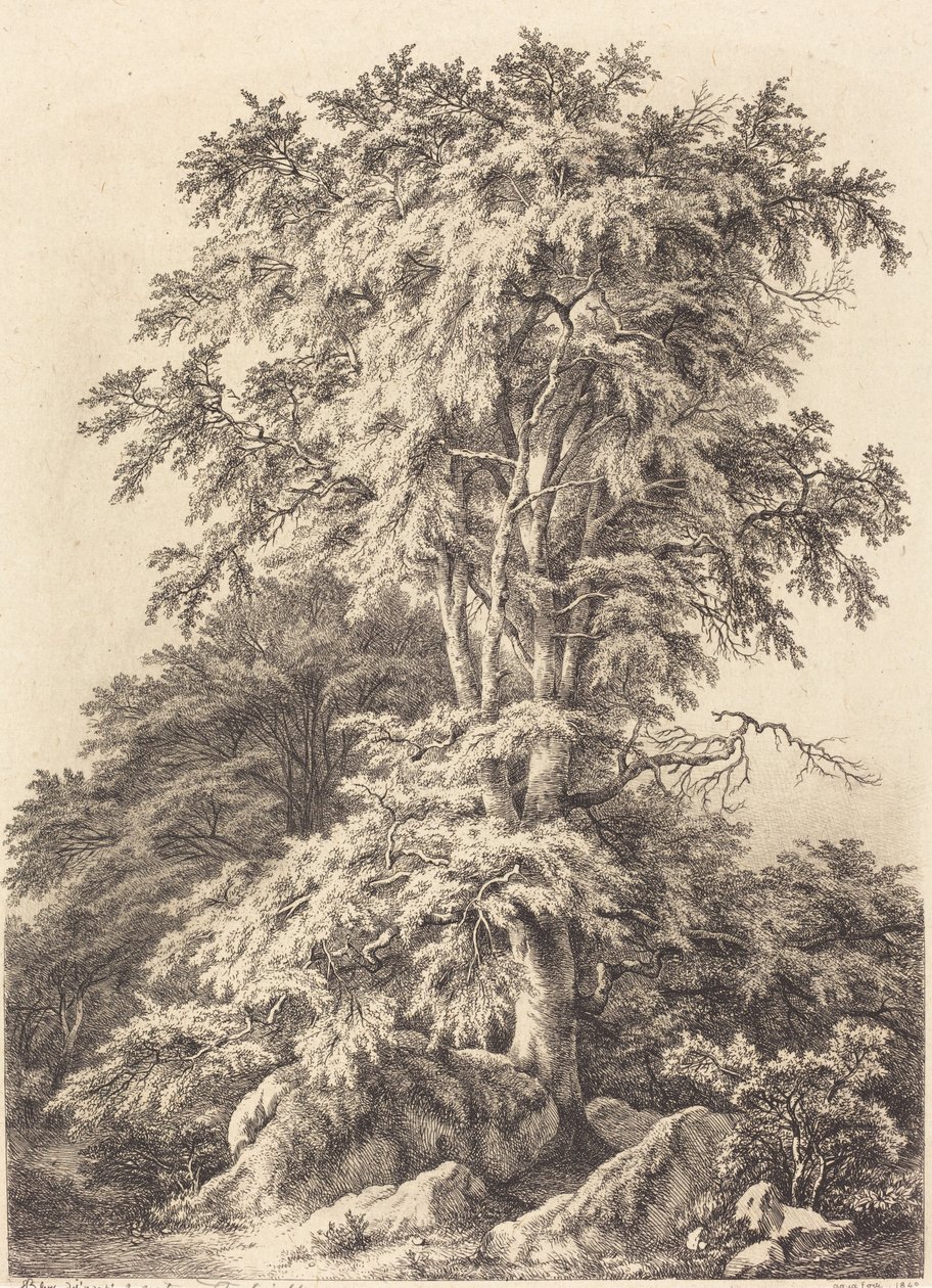 Bükkliget, 1840. alkotó: Eugene Bléry
