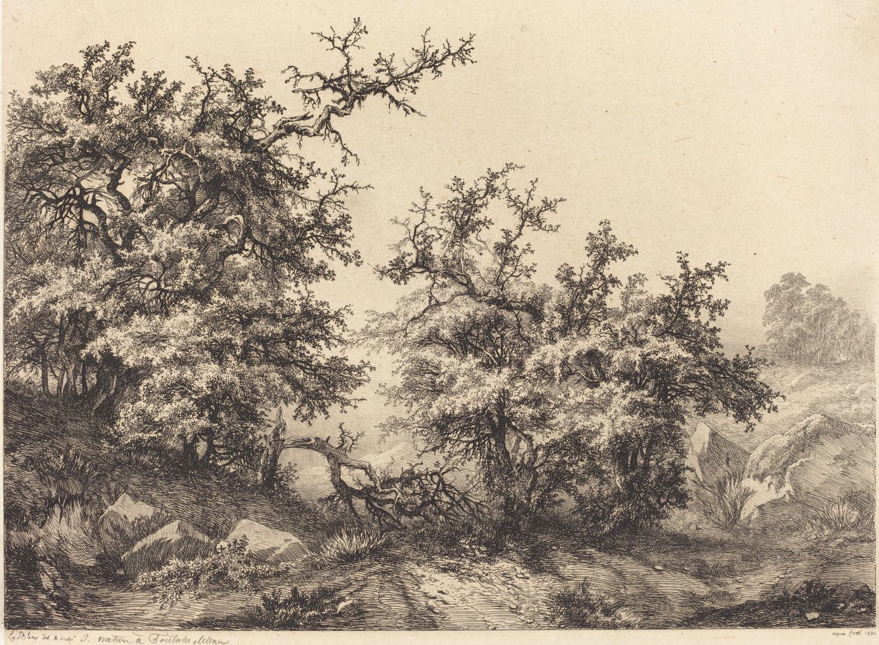 Tövisbokrok, 1840. alkotó: Eugene Bléry