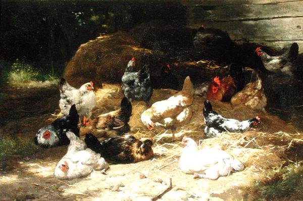 Csirke (olaj, vászon) alkotó: Eugene Remy Maes