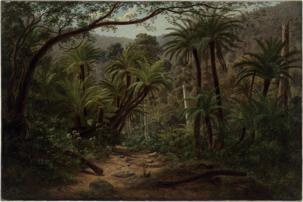 Ferntree Gully a Dandenong-hegységben alkotó: Eugene von Guérard