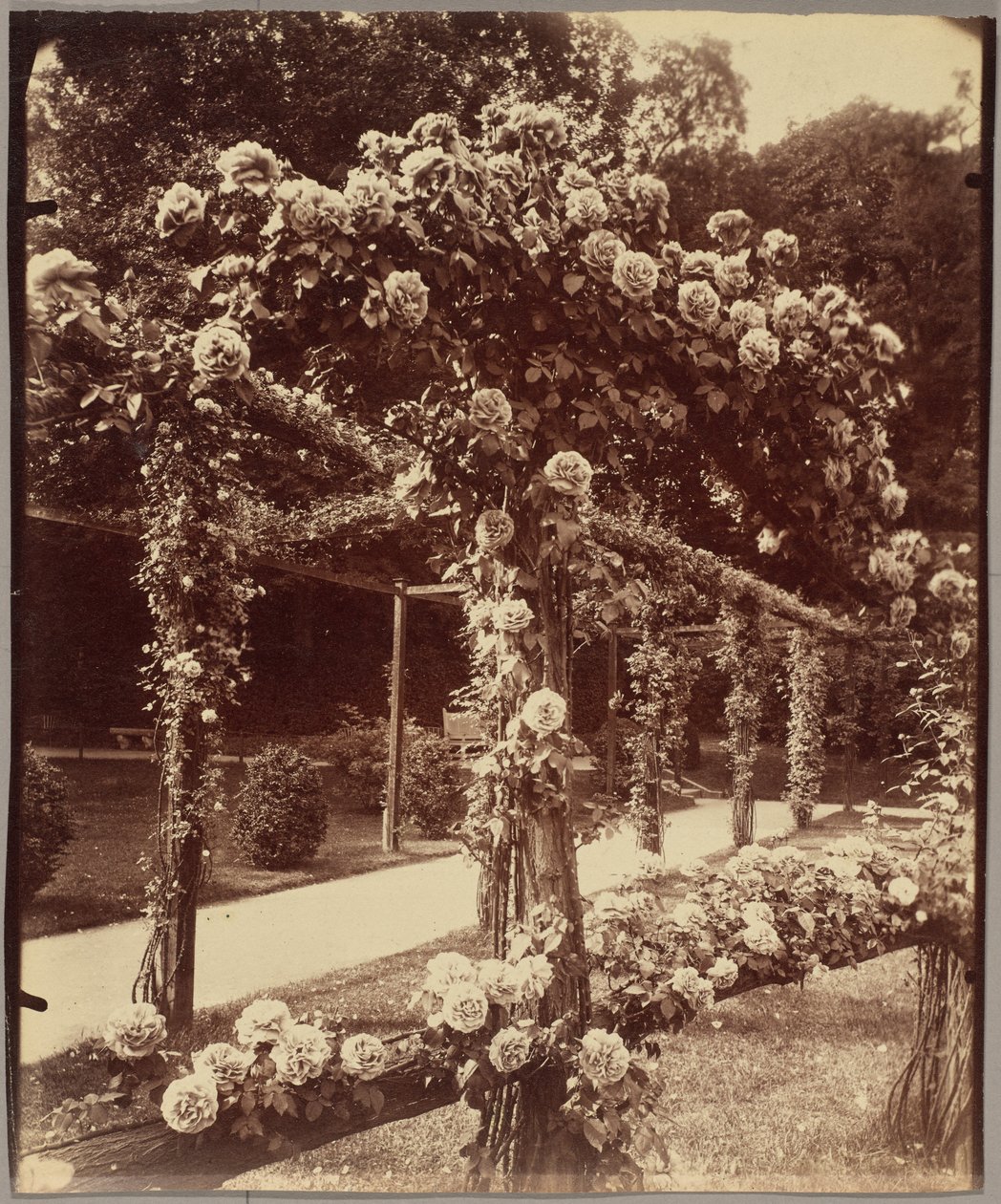 [Jardin de Bagatelle] alkotó: Eugène Atget