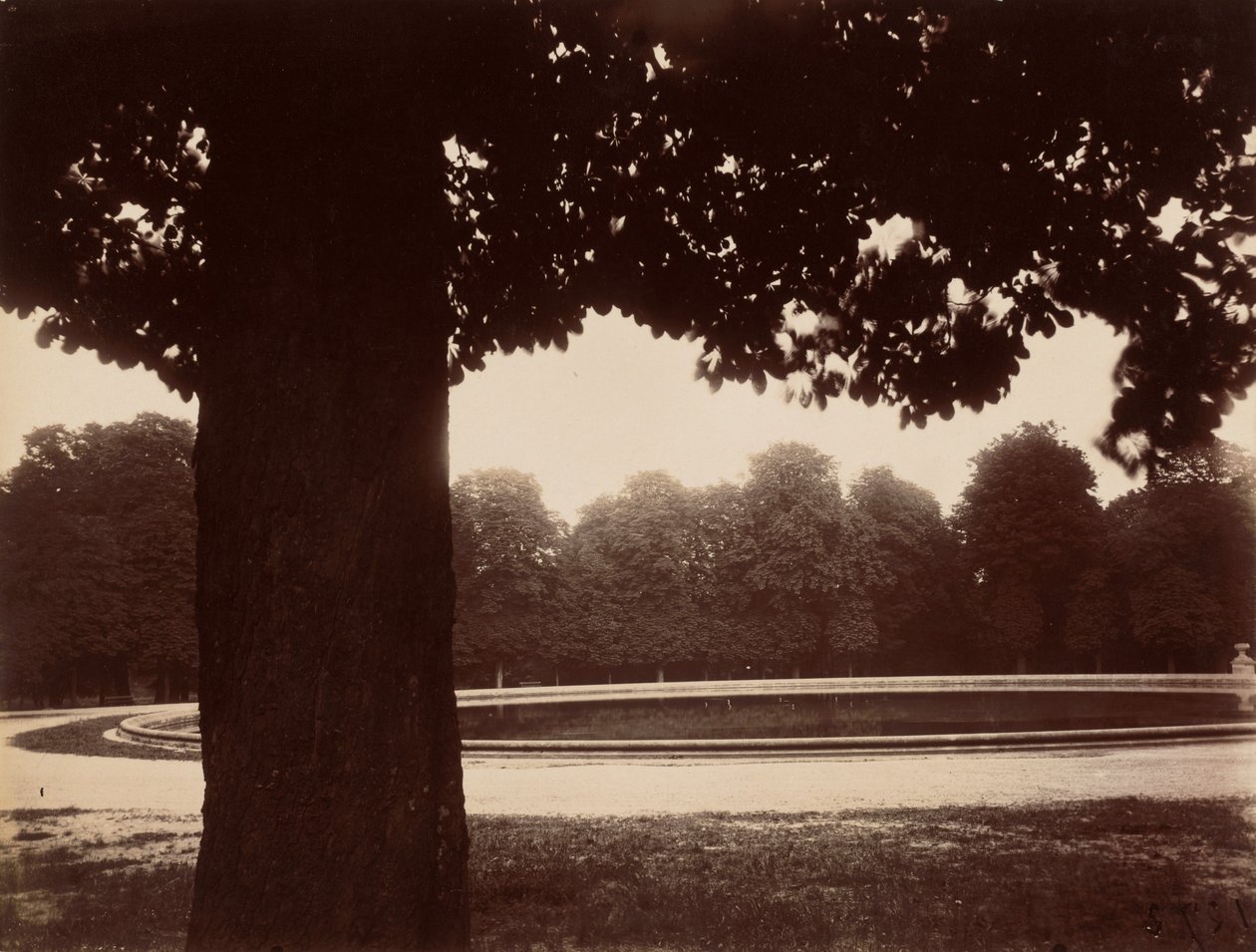 Saint-Cloud,1926 (fotó) alkotó: Eugène Atget