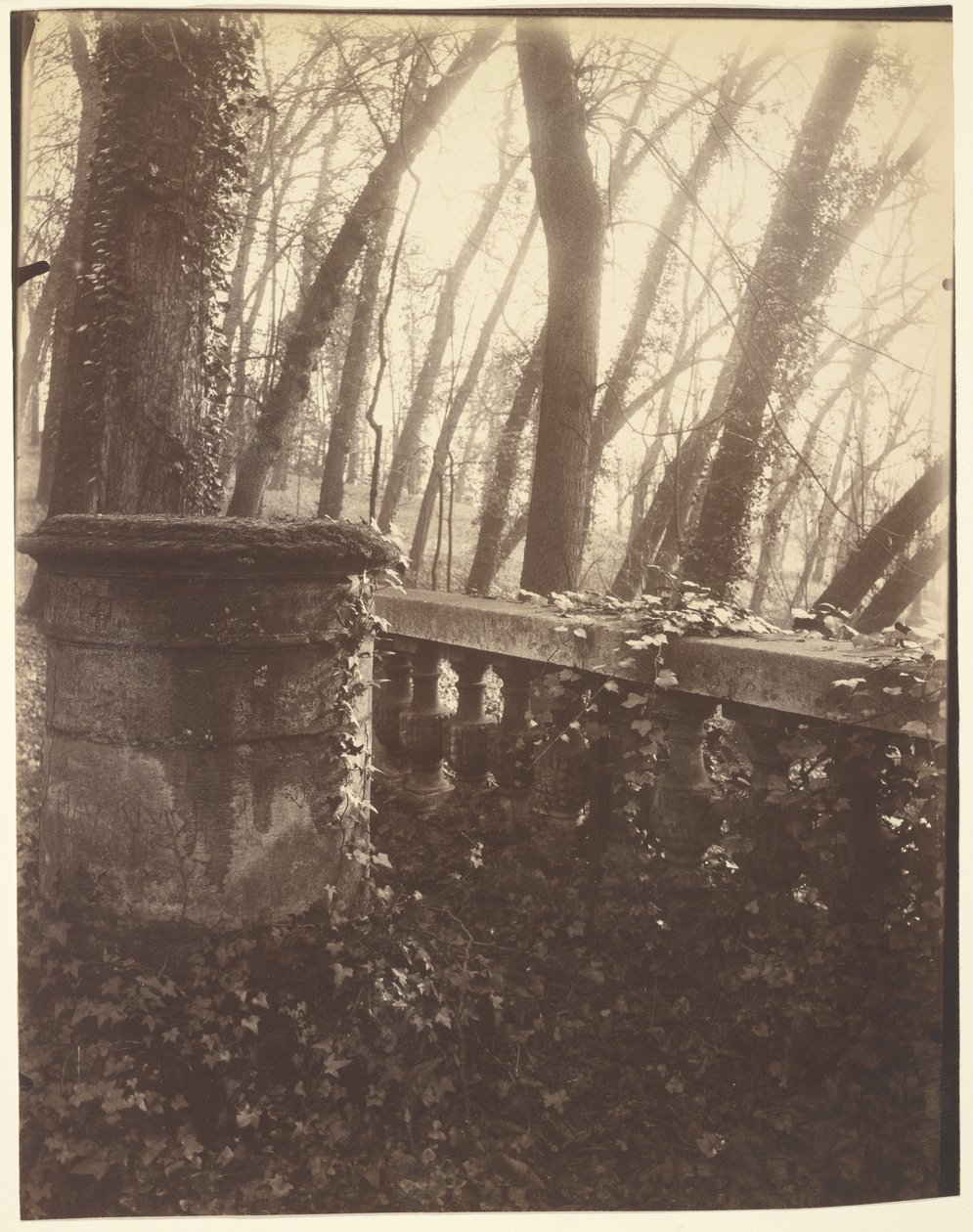Saint-Cloud Park, Párizs alkotó: Eugène Atget